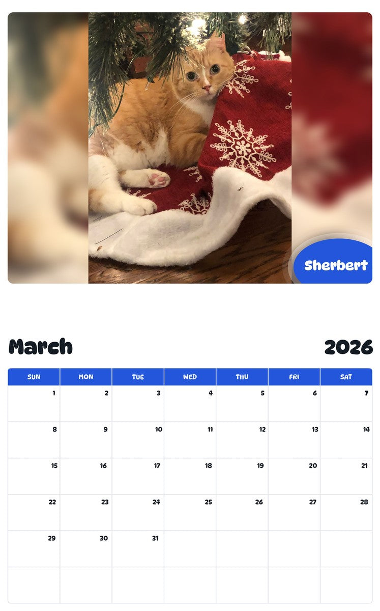 November 2025 - October 2026 Sherbert - Pawidols Pet Calendar