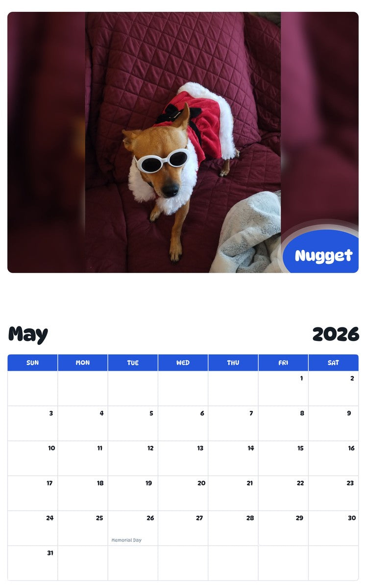 2026 - 2027 Nugget - Pawidols Pet Calendar