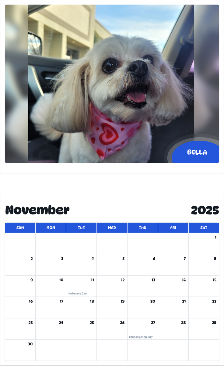 July 2025 - June 2026 Bella - Pawidols Pet Calendar