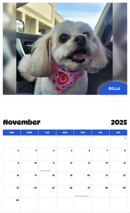 July 2025 - June 2026 Bella - Pawidols Pet Calendar