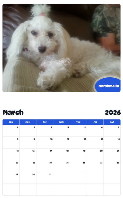 November 2025 - October 2026 Marshmella - Pawidols Pet Calendar