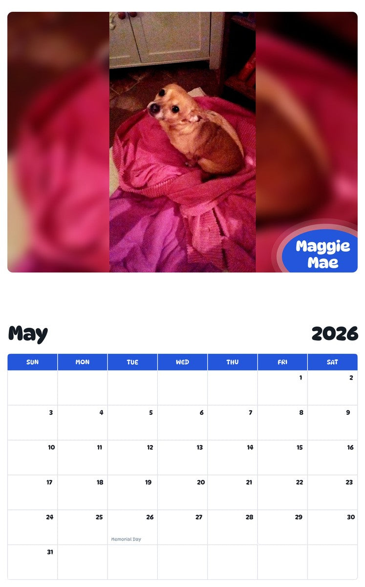 2026 - 2027 Maggie Mae - Pawidols Pet Calendar