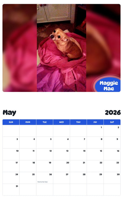 2026 - 2027 Maggie Mae - Pawidols Pet Calendar