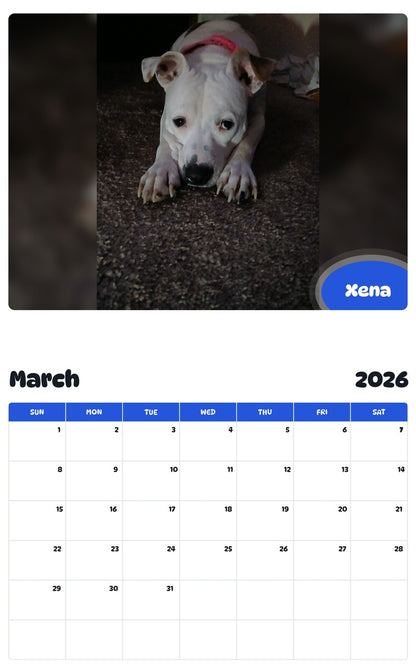 November 2025 - October 2026 Xena - Pawidols Pet Calendar