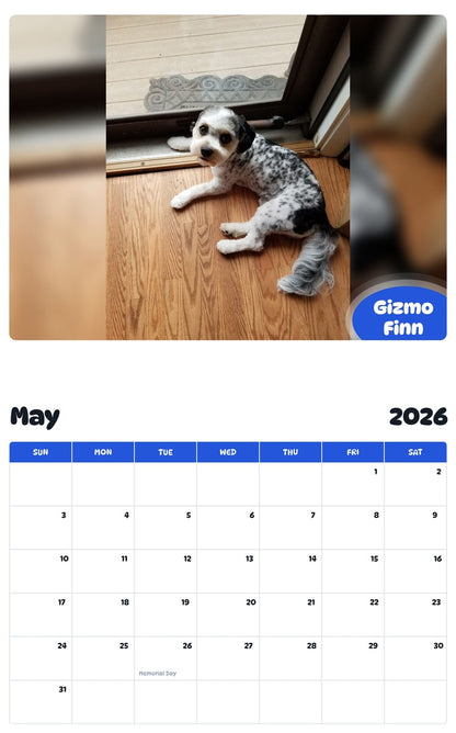 2026 - 2027 Gizmo Finn - Pawidols Pet Calendar