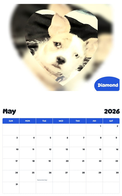 2026 - 2027 Diamond - Pawidols Pet Calendar