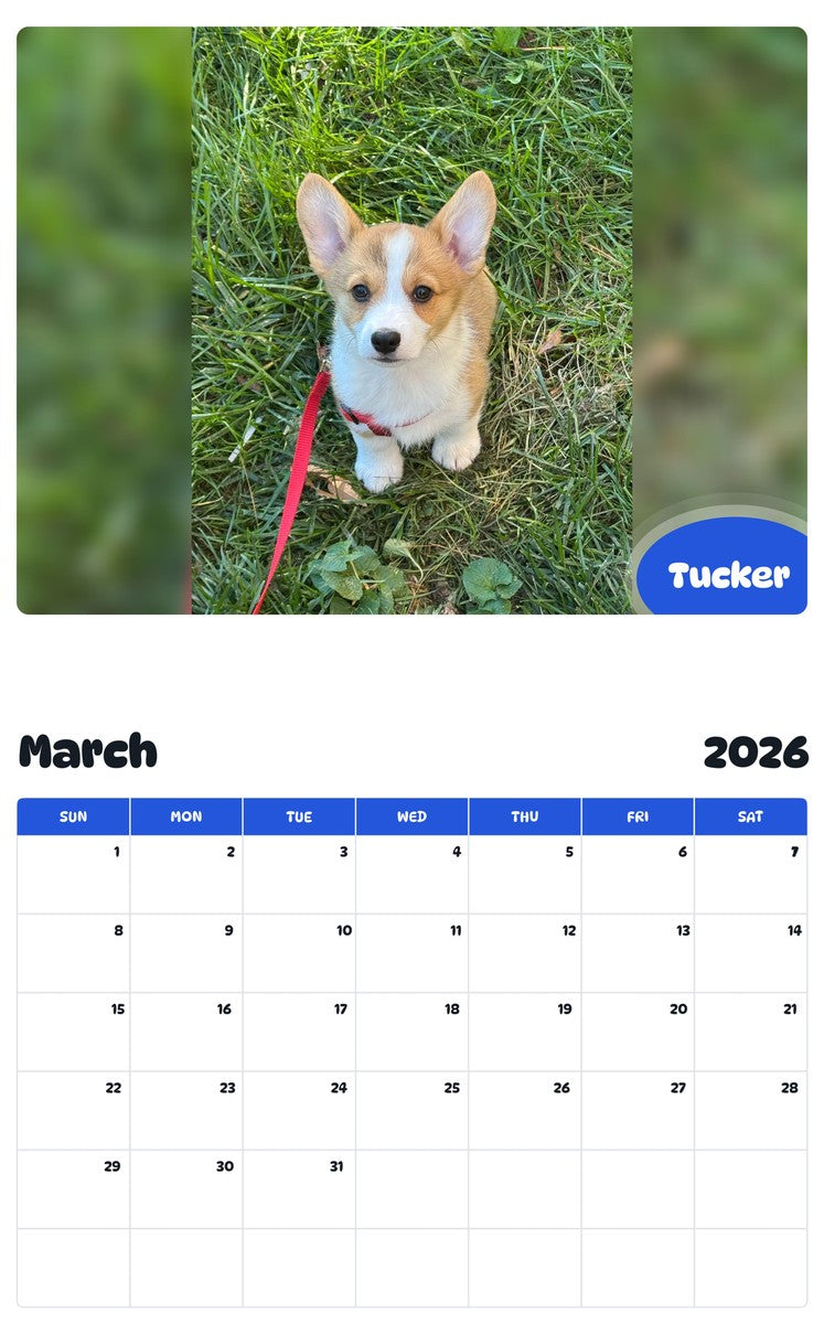 November 2025 - October 2026 Tucker - Pawidols Pet Calendar