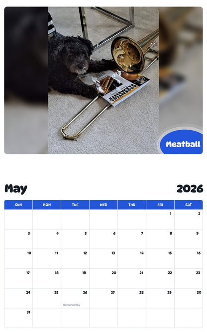 2026 - 2027 Meatball - Pawidols Pet Calendar