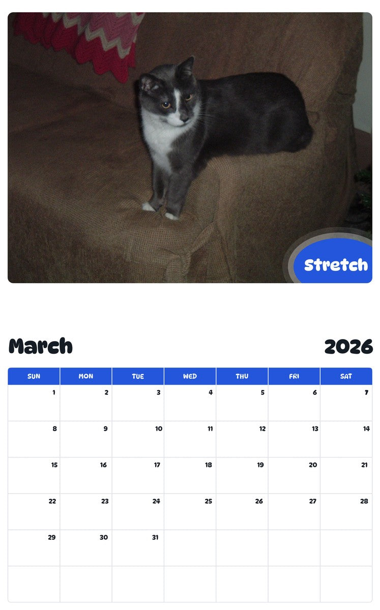 November 2025 - October 2026 Stretch - Pawidols Pet Calendar