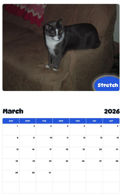 November 2025 - October 2026 Stretch - Pawidols Pet Calendar