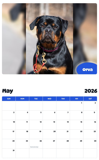 2026 - 2027 Orva - Pawidols Pet Calendar