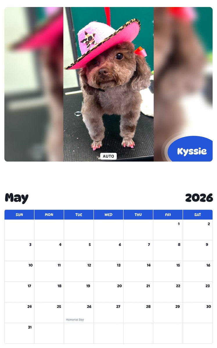 2026 - 2027 Kyssie - Pawidols Pet Calendar