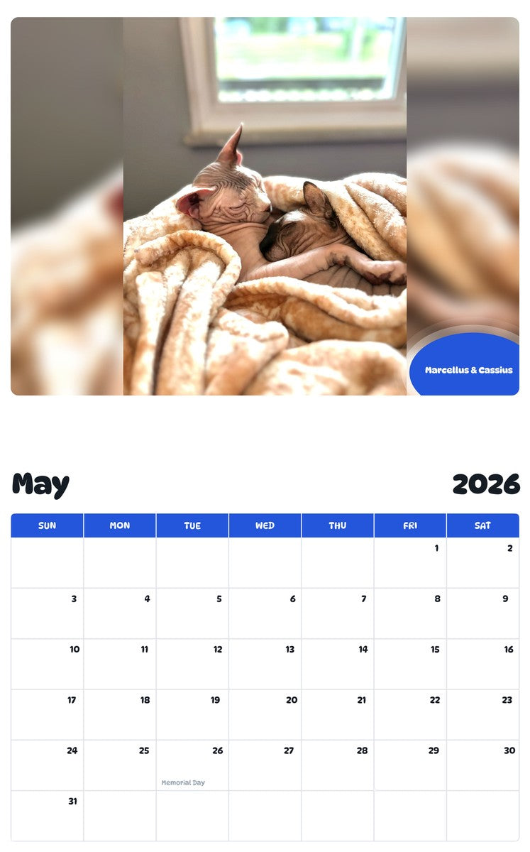 2026 - 2027 Marcellus & Cassius - Pawidols Pet Calendar