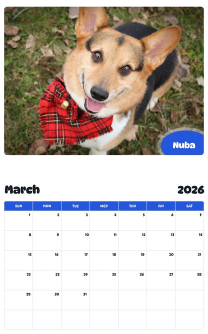November 2025 - October 2026 Nuba - Pawidols Pet Calendar