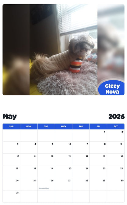 2026 - 2027 Gizzy Nova - Pawidols Pet Calendar