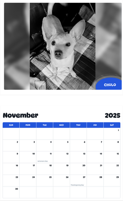 July 2025 - June 2026 Chulo - Pawidols Pet Calendar