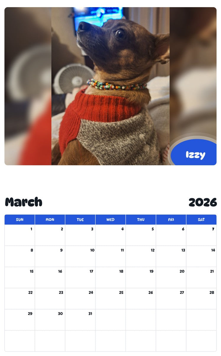 November 2025 - October 2026 Izzy - Pawidols Pet Calendar