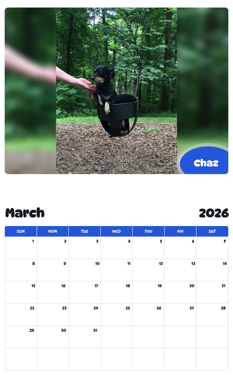 November 2025 - October 2026 Chaz - Pawidols Pet Calendar
