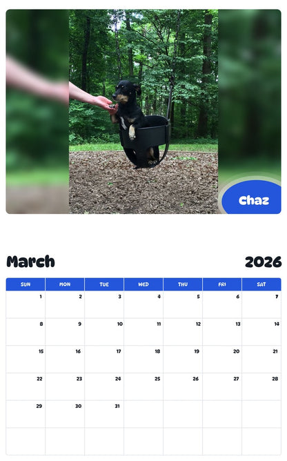 November 2025 - October 2026 Chaz - Pawidols Pet Calendar