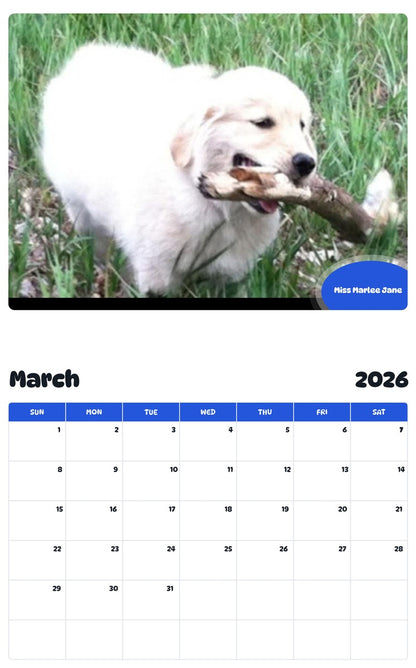 November 2025 - October 2026 Miss Marlee Jane - Pawidols Pet Calendar