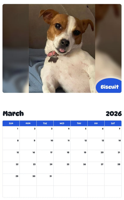 November 2025 - October 2026 Biscuit - Pawidols Pet Calendar