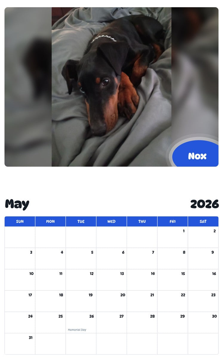 2026 - 2027 Nox - Pawidols Pet Calendar
