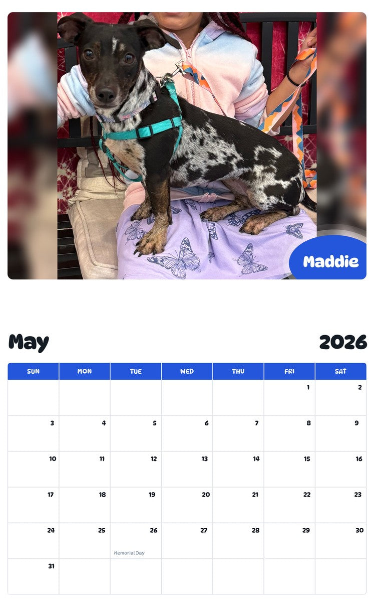 2026 - 2027 Maddie - Pawidols Pet Calendar