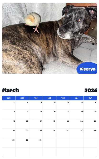 November 2025 - October 2026 Viserya - Pawidols Pet Calendar