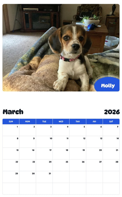 November 2025 - October 2026 Molly - Pawidols Pet Calendar