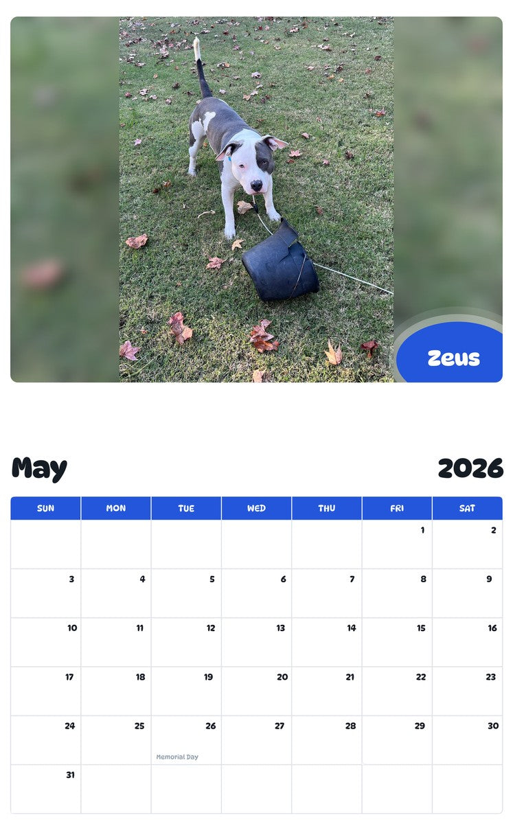 2026 - 2027 Zeus - Pawidols Pet Calendar