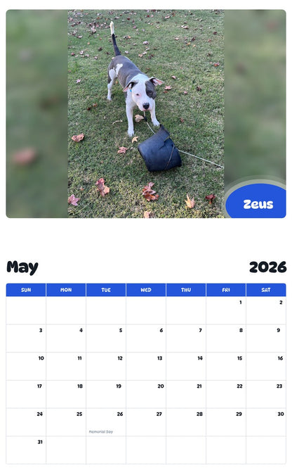 2026 - 2027 Zeus - Pawidols Pet Calendar