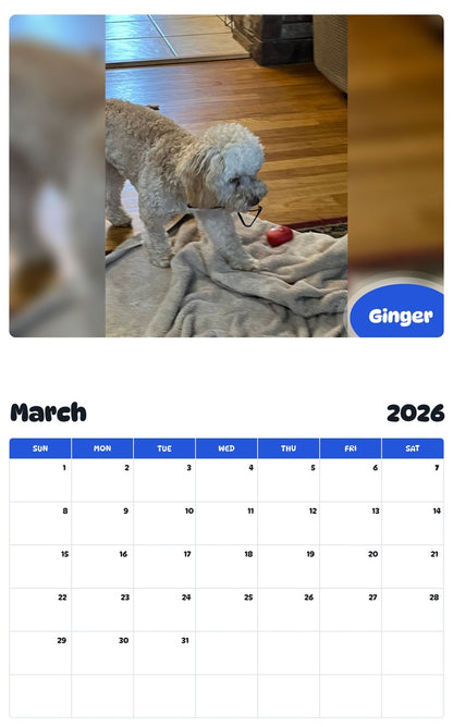 November 2025 - October 2026 Ginger - Pawidols Pet Calendar