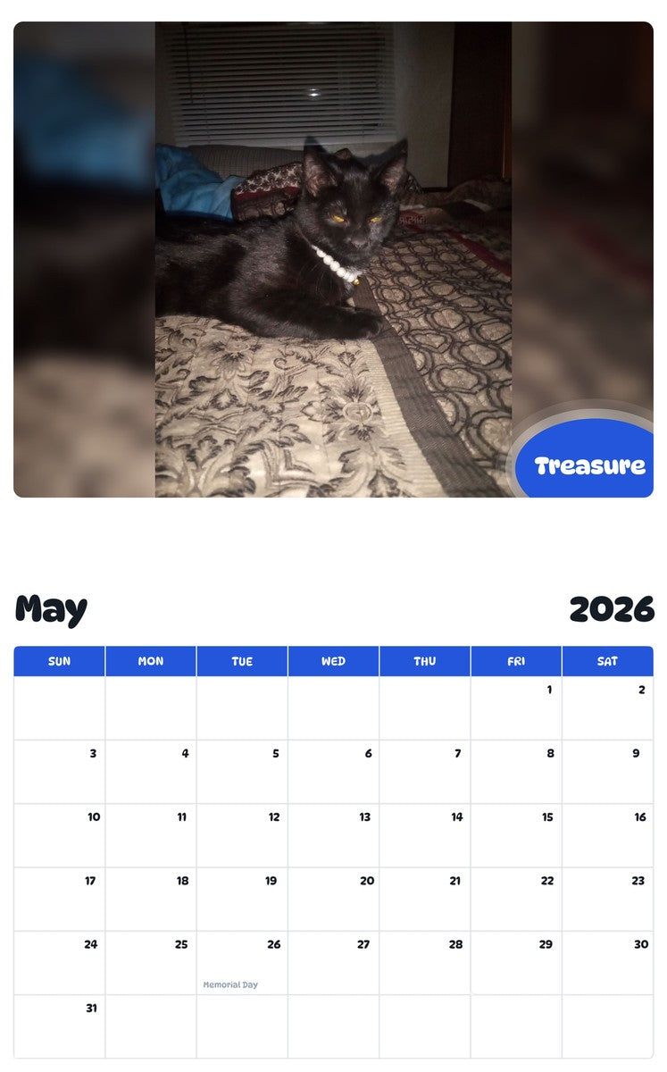 2026 - 2027 Treasure - Pawidols Pet Calendar