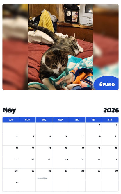 2026 - 2027 Bruno - Pawidols Pet Calendar