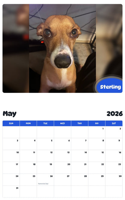 2026 - 2027 Sterling - Pawidols Pet Calendar
