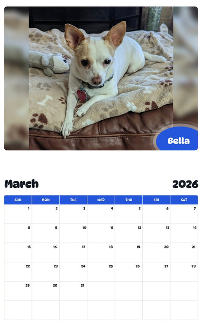 November 2025 - October 2026 Bella - Pawidols Pet Calendar