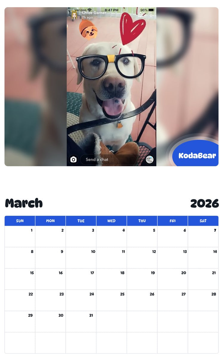 November 2025 - October 2026 KodaBear - Pawidols Pet Calendar