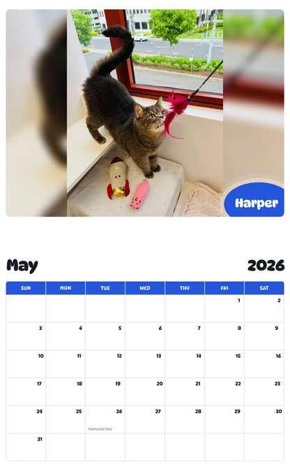 2026 - 2027 Harper - Pawidols Pet Calendar