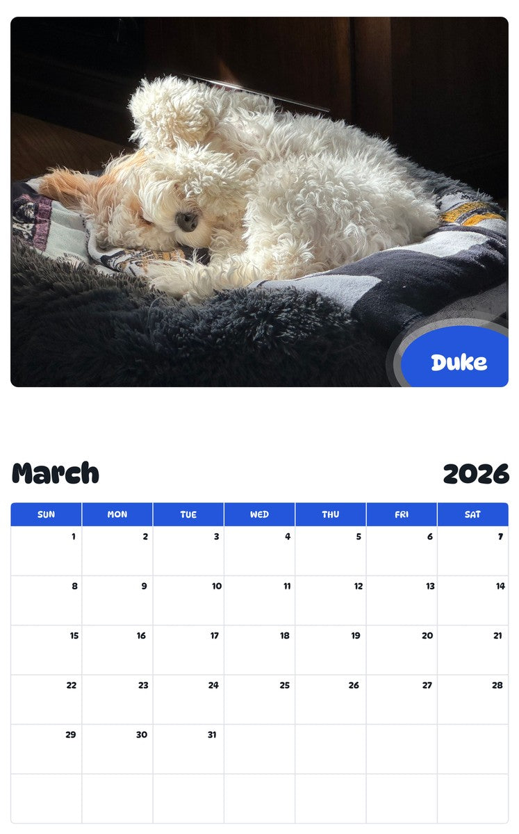 November 2025 - October 2026 Duke - Pawidols Pet Calendar
