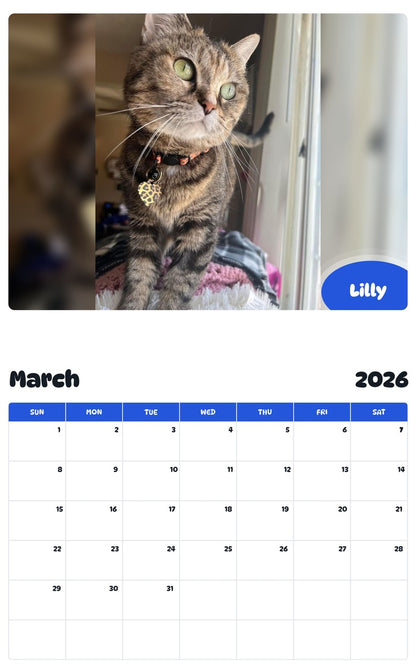 November 2025 - October 2026 Lilly - Pawidols Pet Calendar