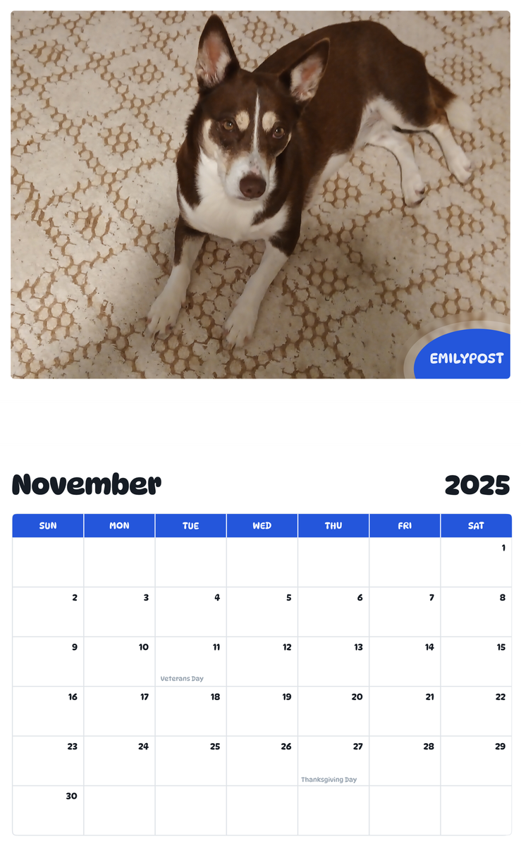 July 2025 - June 2026 EmilyPost - Pawidols Pet Calendar