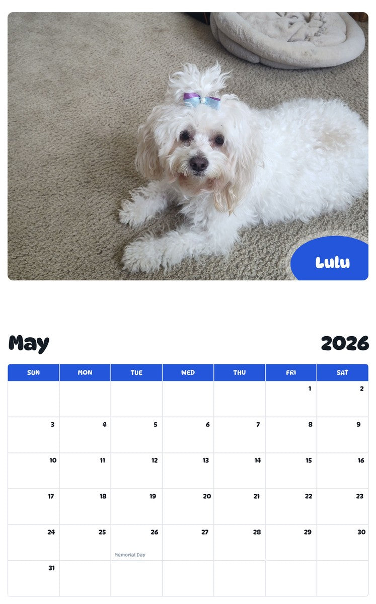 2026 - 2027 Lulu - Pawidols Pet Calendar