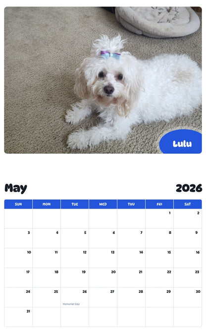 2026 - 2027 Lulu - Pawidols Pet Calendar