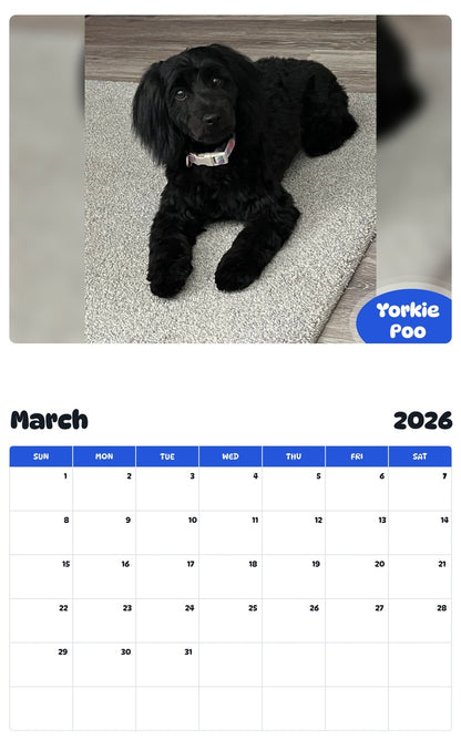 November 2025 - October 2026 Yorkie Poo - Pawidols Pet Calendar