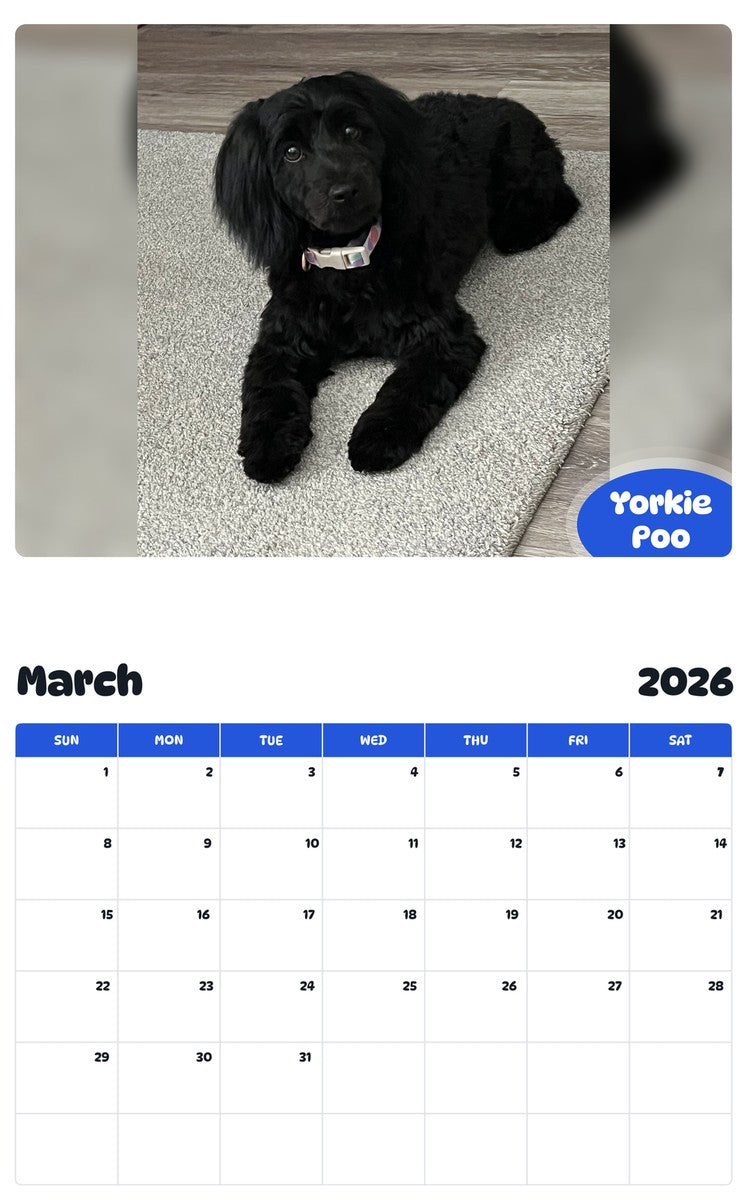 November 2025 - October 2026 Yorkie Poo - Pawidols Pet Calendar