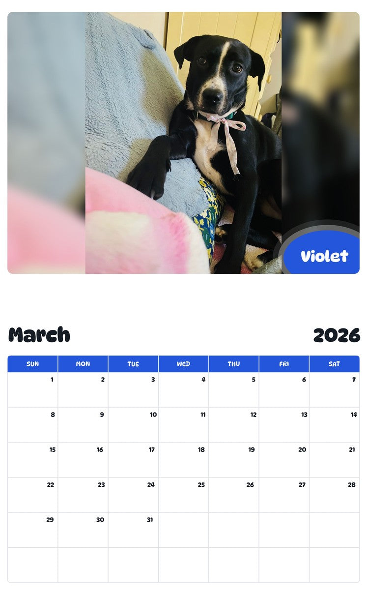 November 2025 - October 2026 Violet - Pawidols Pet Calendar