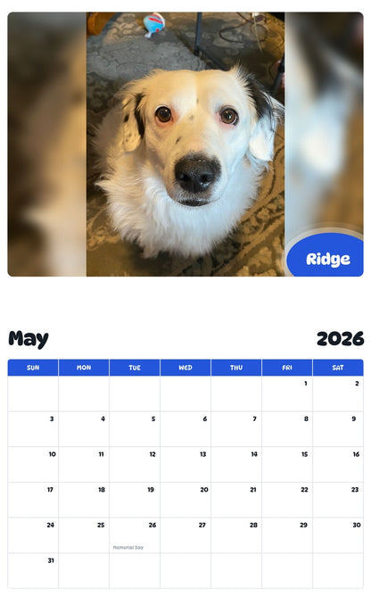 2026 - 2027 Ridge - Pawidols Pet Calendar