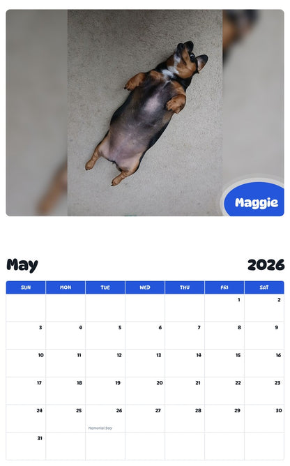 2026 - 2027 Maggie - Pawidols Pet Calendar