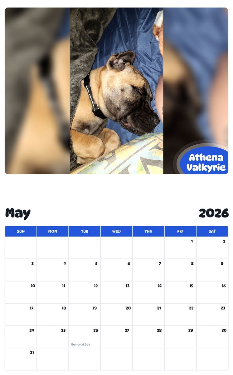 2026 - 2027 Athena Valkyrie - Pawidols Pet Calendar