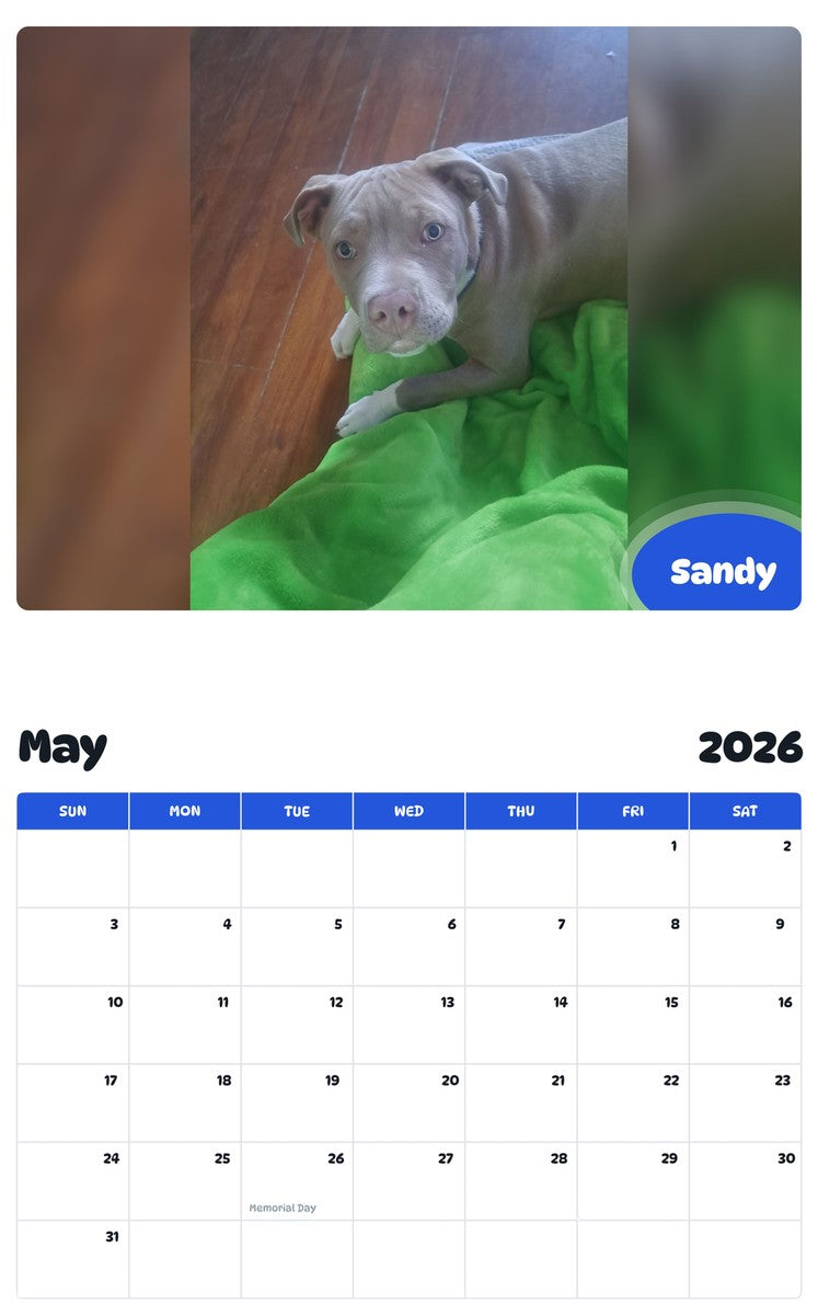 2026 - 2027 Sandy - Pawidols Pet Calendar